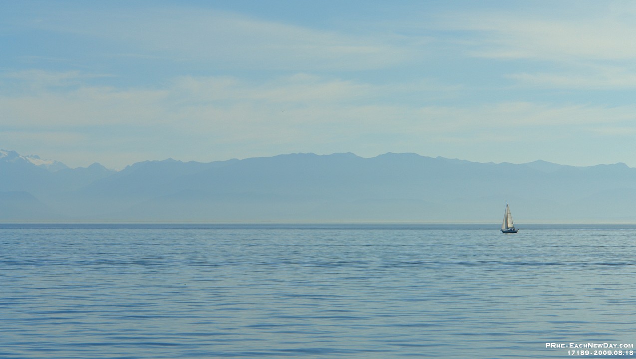 17189RoCrLeShRe - Whale watching, Victoria